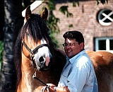 Dirk und Tornado 08-04